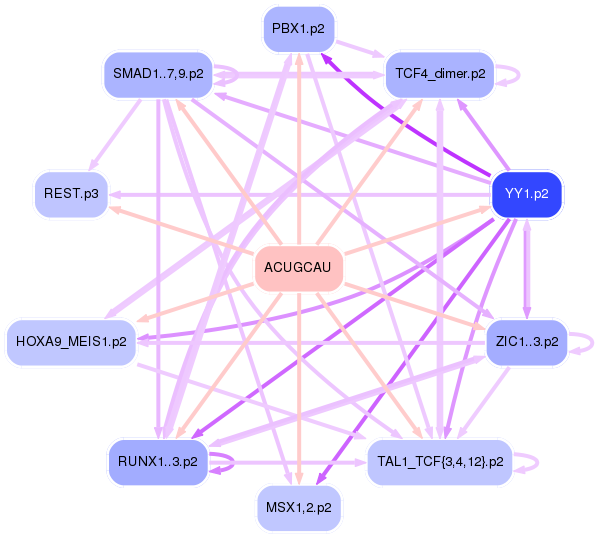 PNG image of the network