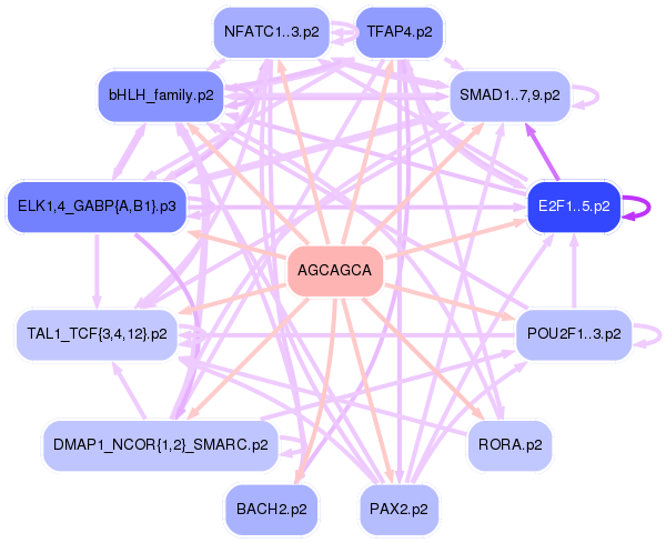 PNG image of the network