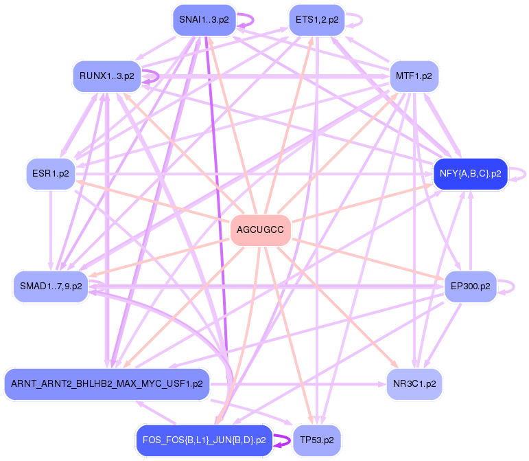 PNG image of the network