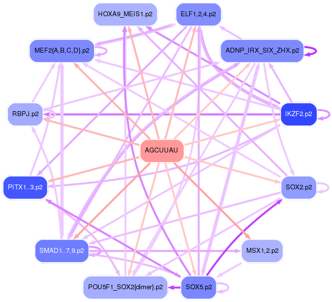 PNG image of the network
