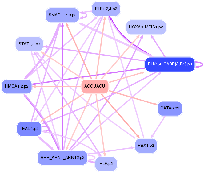 PNG image of the network