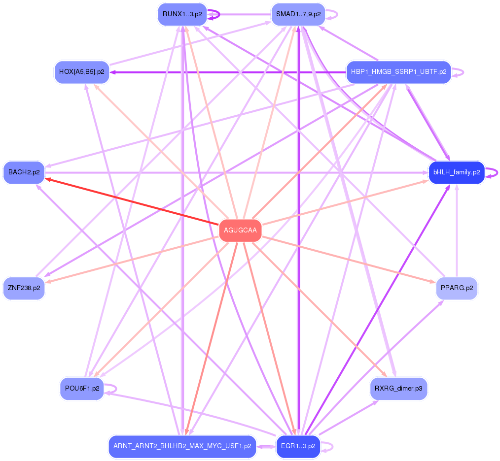 PNG image of the network