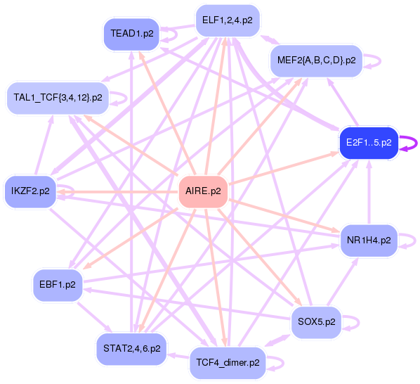 PNG image of the network