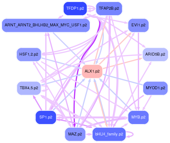 PNG image of the network