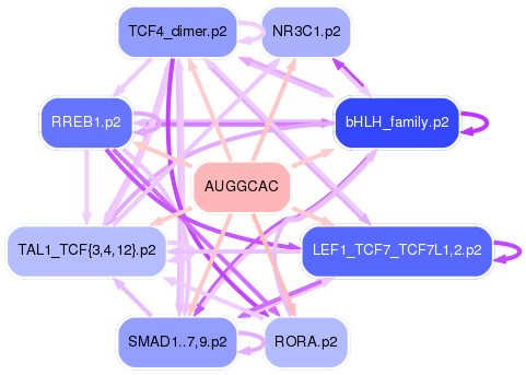 PNG image of the network