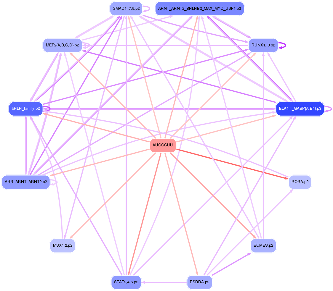 PNG image of the network