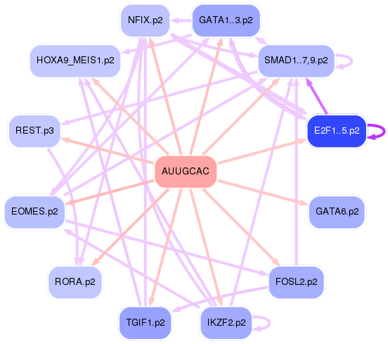 PNG image of the network