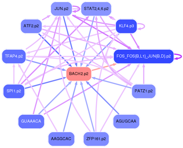 PNG image of the network