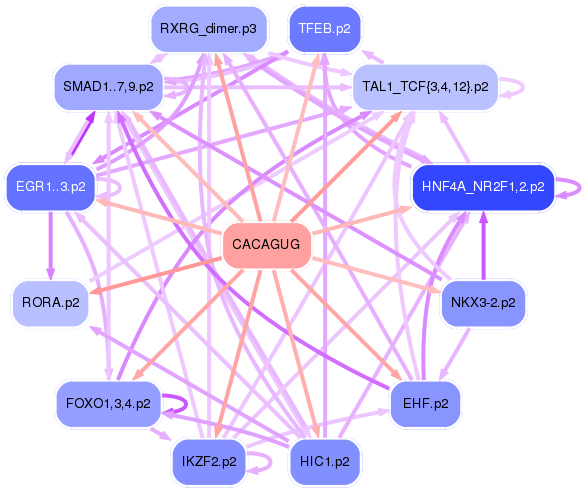PNG image of the network