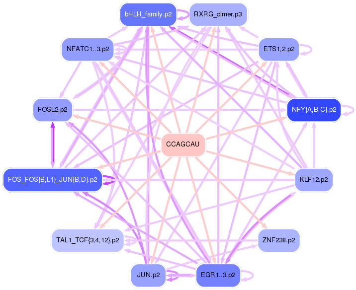 PNG image of the network