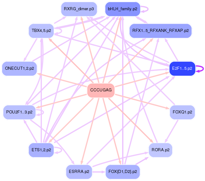 PNG image of the network
