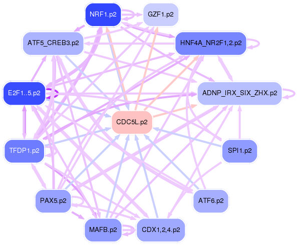 PNG image of the network