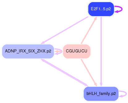 PNG image of the network