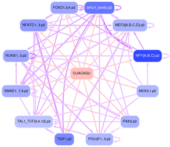 PNG image of the network