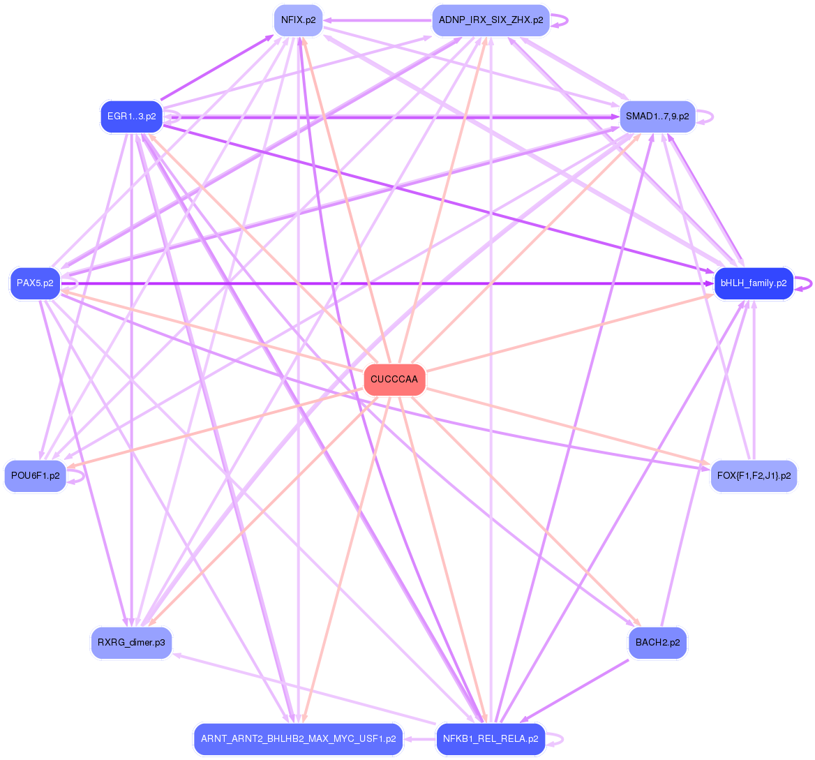 PNG image of the network