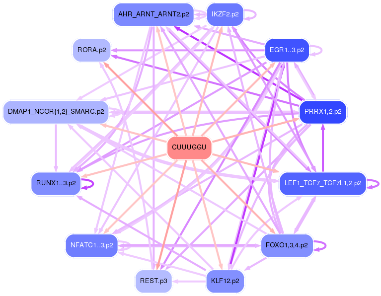 PNG image of the network