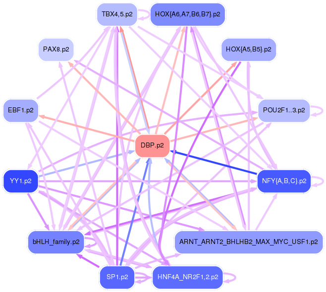 PNG image of the network