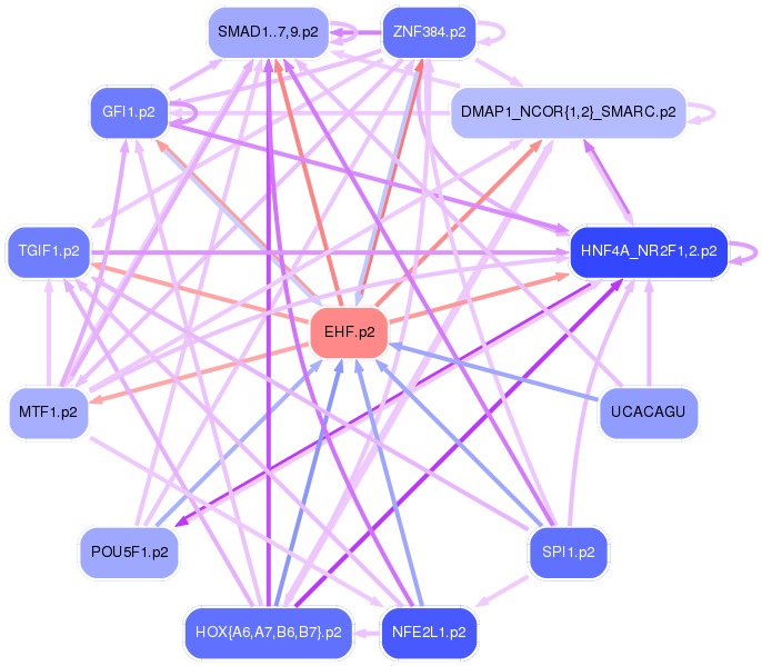 PNG image of the network