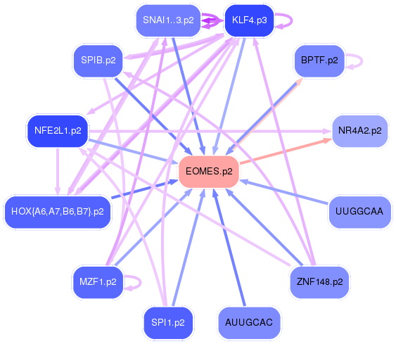 PNG image of the network