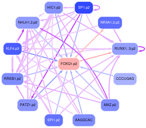 PNG image of the network