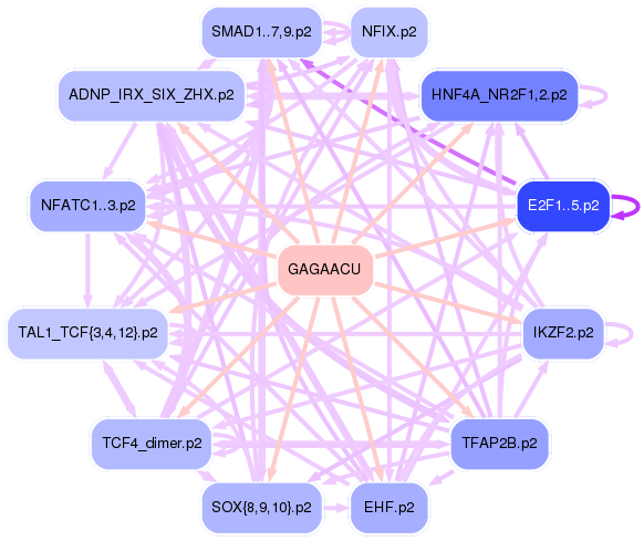PNG image of the network