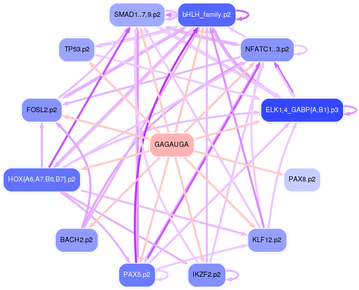 PNG image of the network