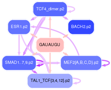 PNG image of the network
