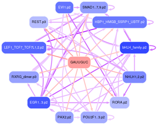 PNG image of the network