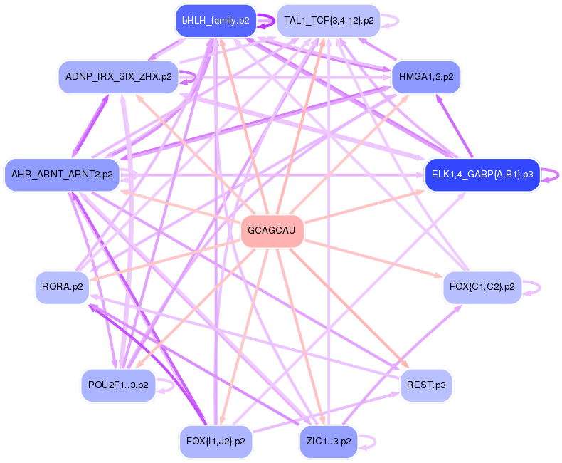 PNG image of the network