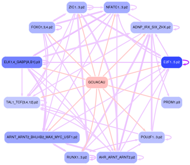 PNG image of the network