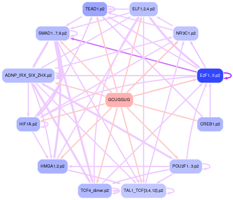 PNG image of the network