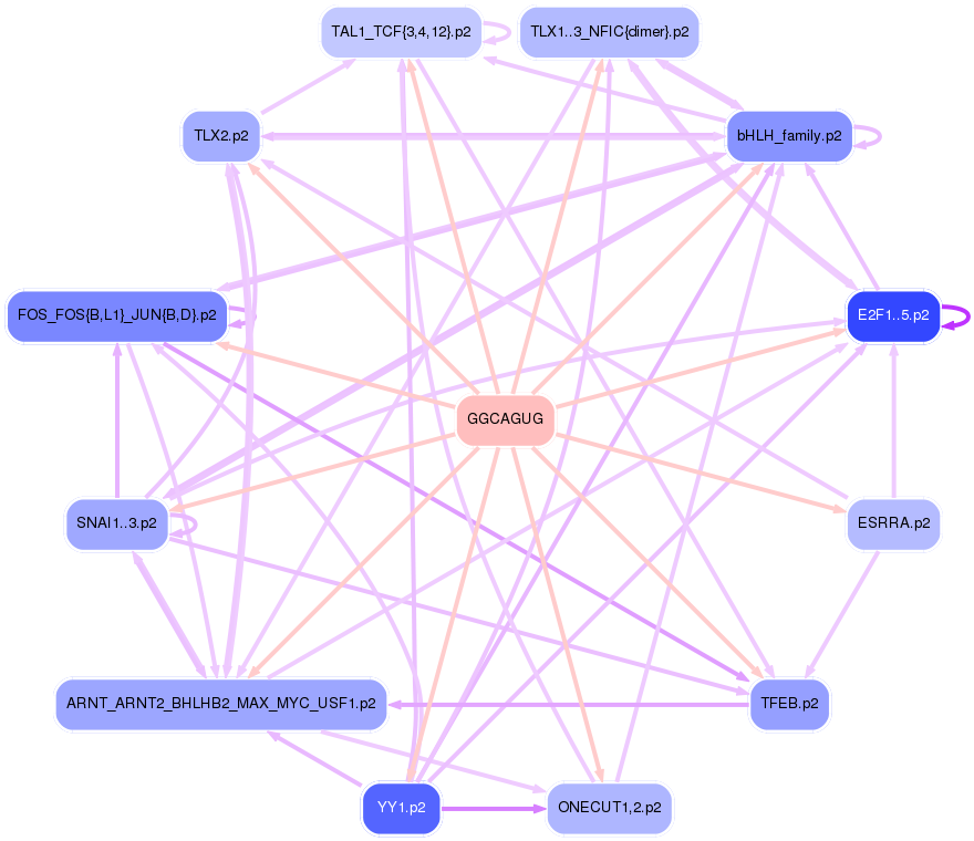 PNG image of the network