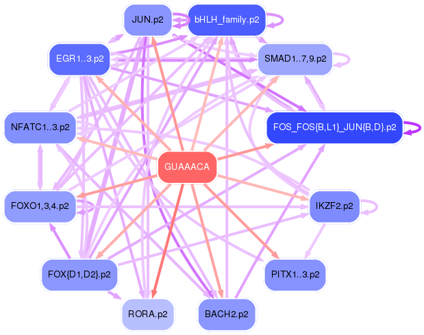 PNG image of the network