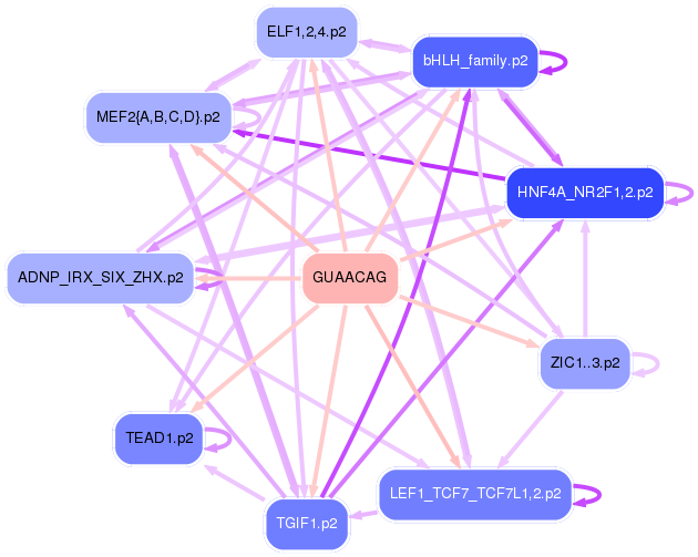 PNG image of the network