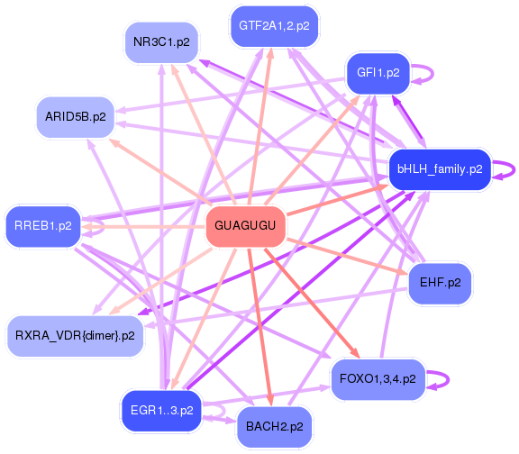 PNG image of the network