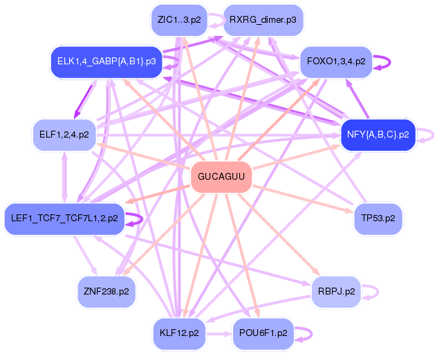 PNG image of the network