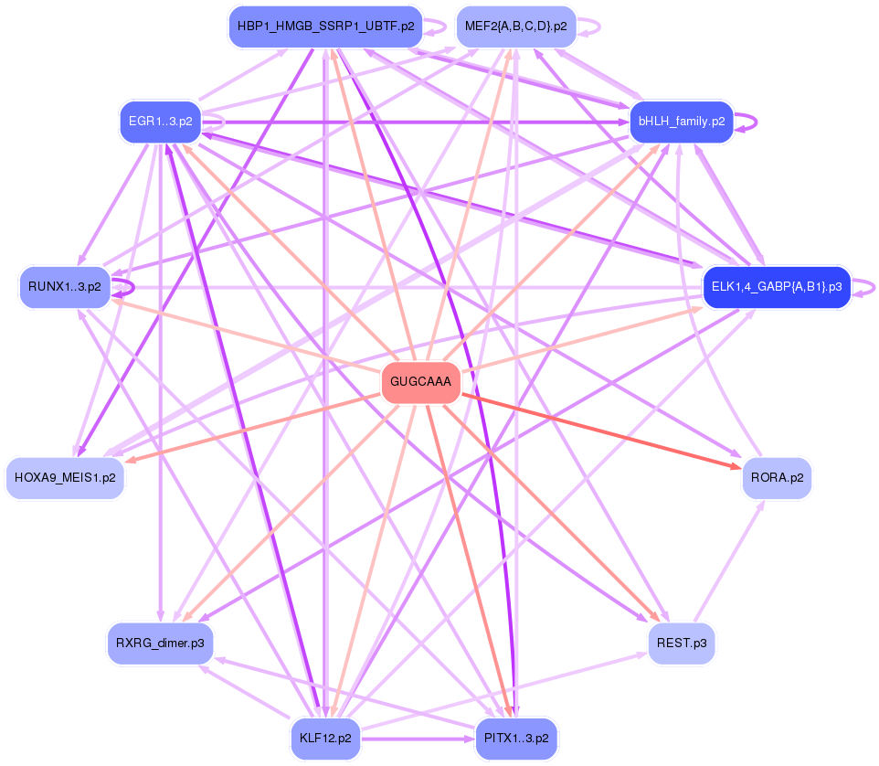 PNG image of the network
