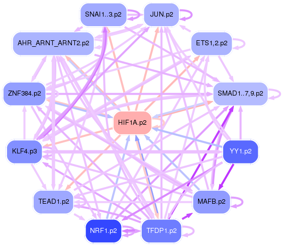 PNG image of the network