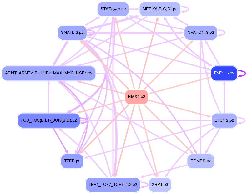 PNG image of the network