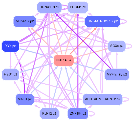 PNG image of the network