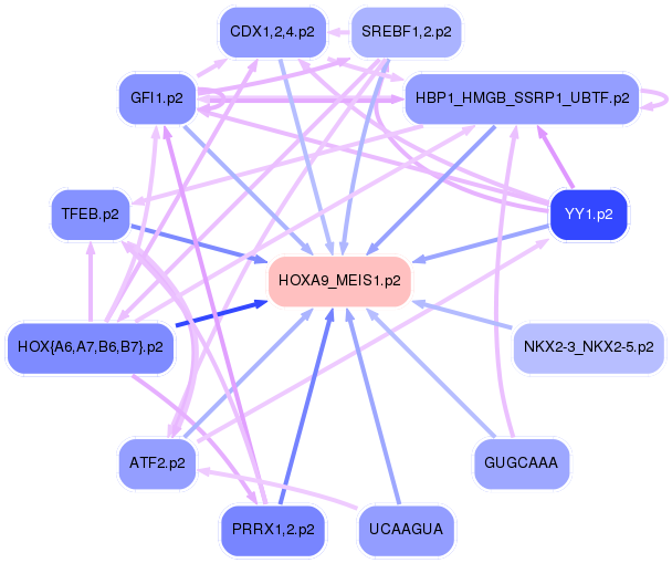 PNG image of the network