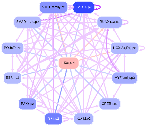 PNG image of the network