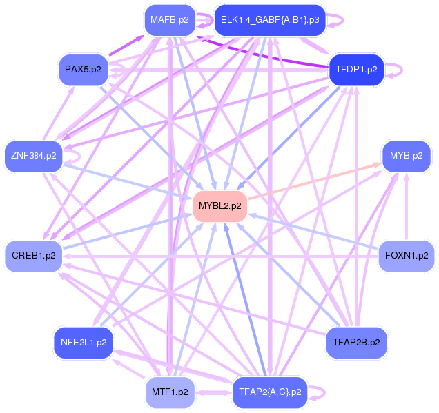 PNG image of the network