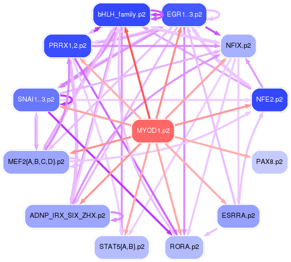PNG image of the network