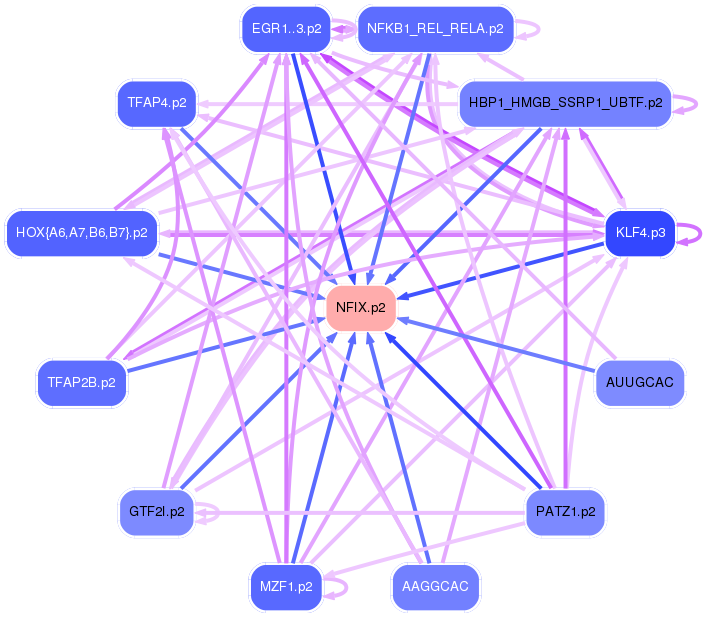 PNG image of the network