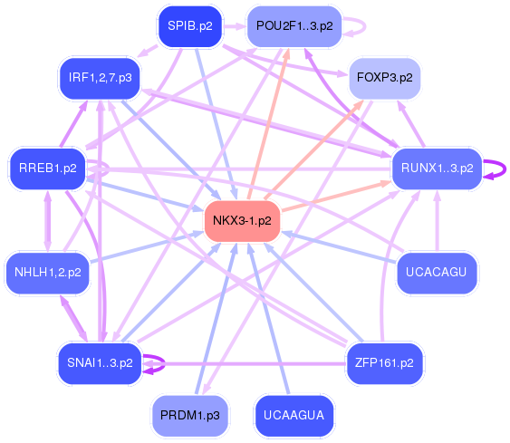 PNG image of the network