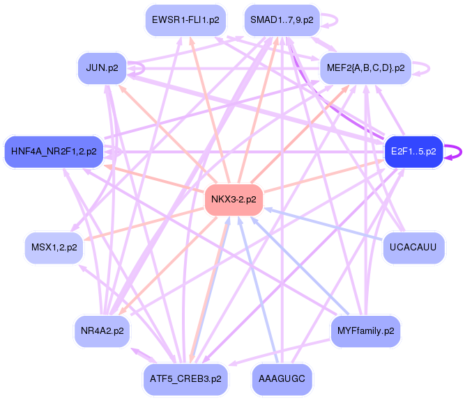 PNG image of the network