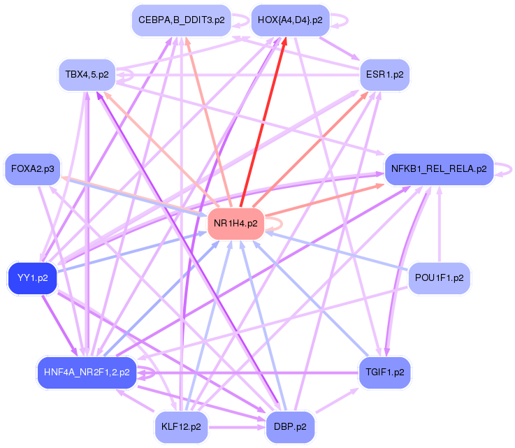 PNG image of the network