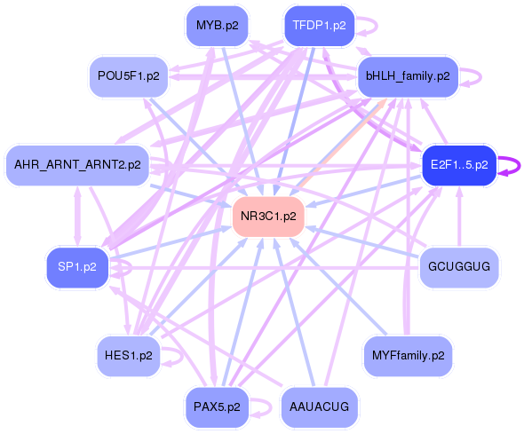 PNG image of the network