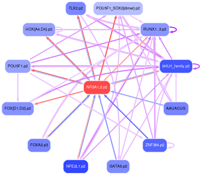 PNG image of the network